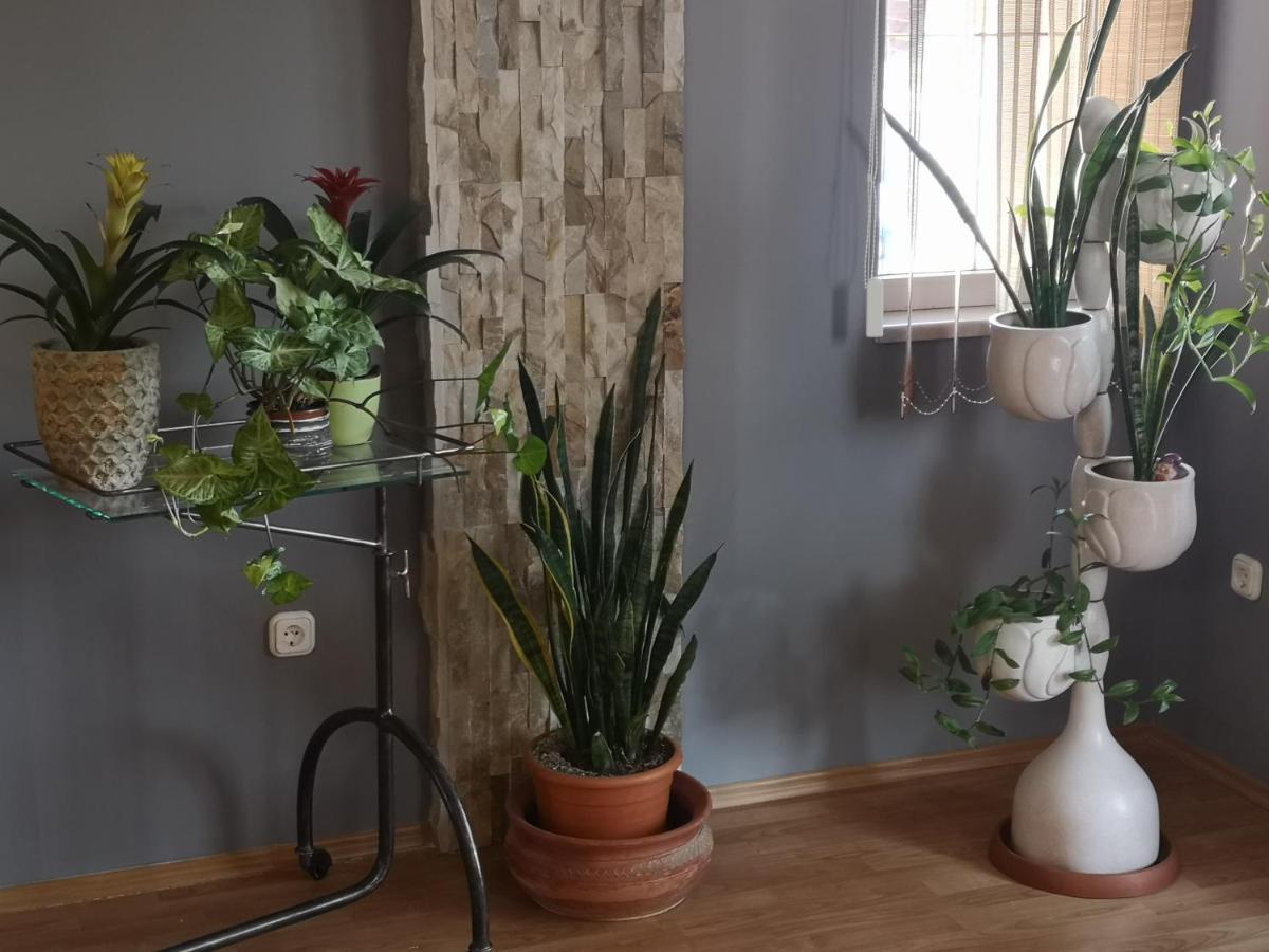 Hotello Apartmanhaz Es Panzio 佐洛埃格塞格 外观 照片